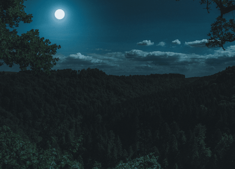 Full Moon In Leo, Leadership and Gate 7