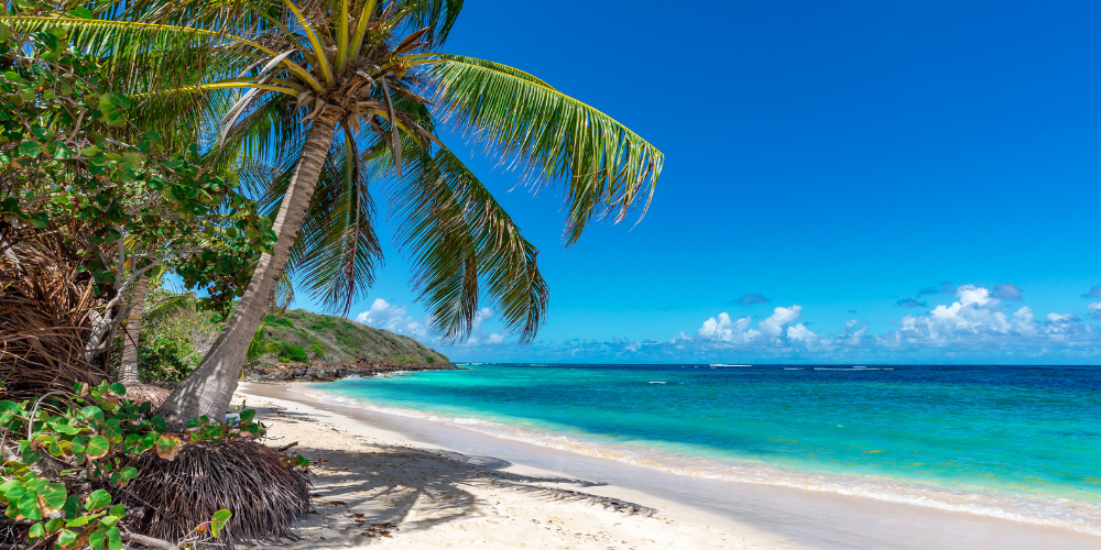 Astrology & Travel How Your Birthday Location Shapes Your Year